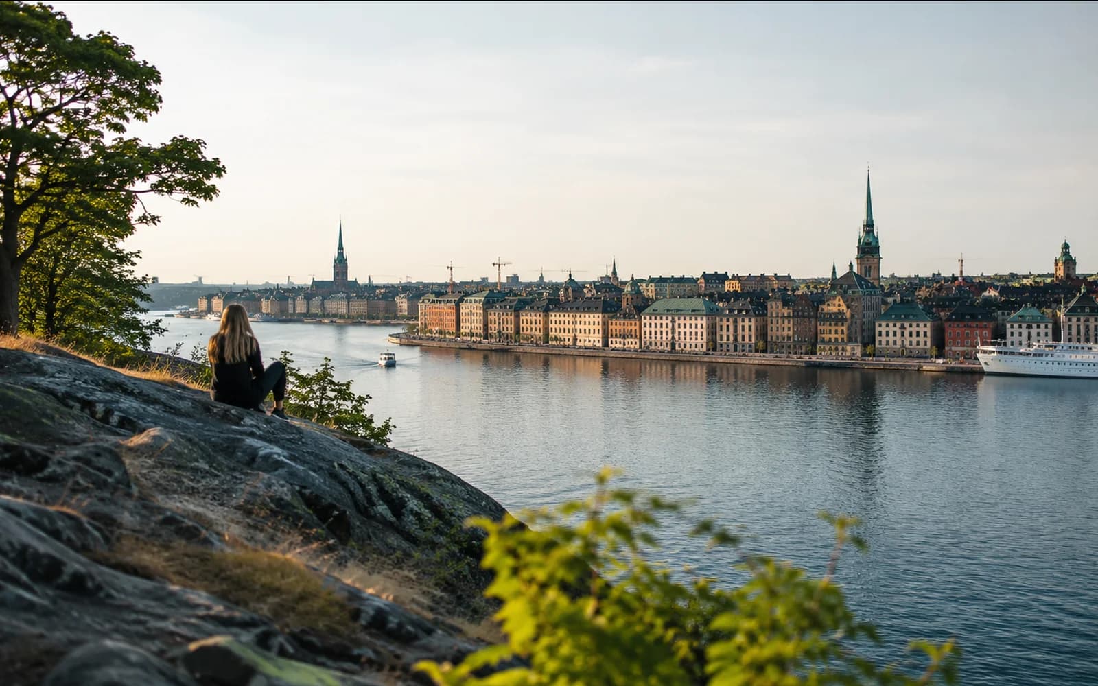 Stockholm-style Swedish waterfront skyline viewed from a rocky green overlook